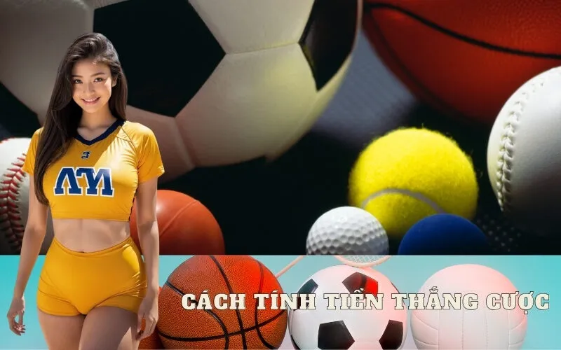 Cách Tính Tiền Thắng Cược