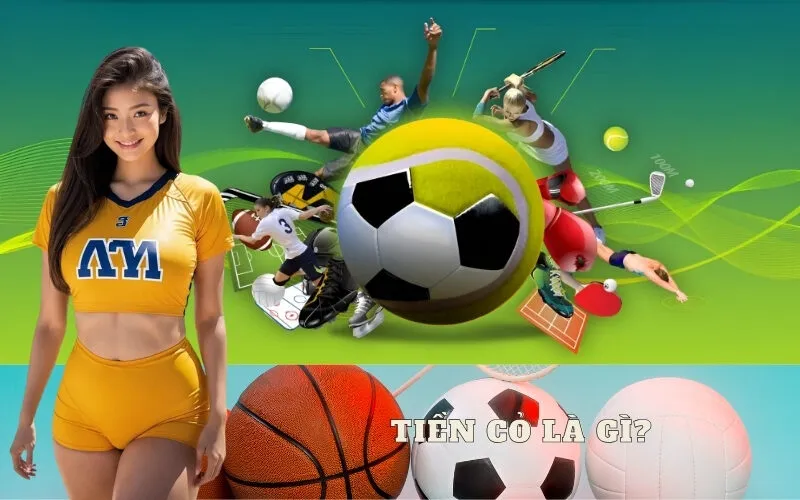 Tiền Cỏ Là Gì?